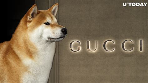 gucci shiba inu|gucci accepts bitcoin.